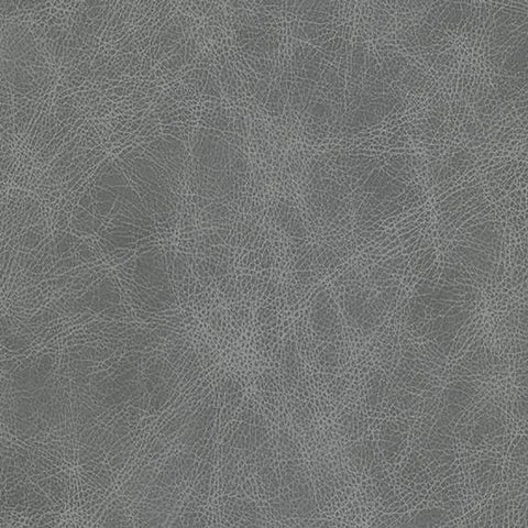 Saloon Fossil