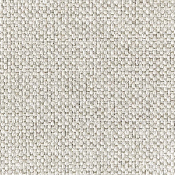 Hailey Bone - Revolution*