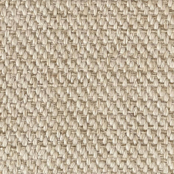 Ocala Bisquit - Revolution*